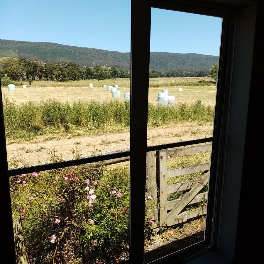 Tahakopa Lodge - Cabin Εξωτερικό φωτογραφία